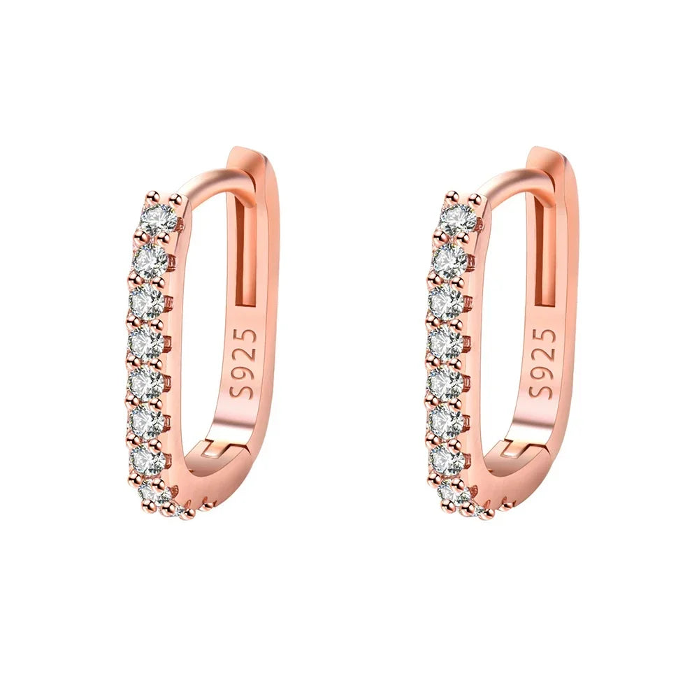 Original designer 925 Sterling Silver Elegant Crystal Jewelry Fashion Zircon Circle Hoop Earrings for Woman Wedding Party Gift