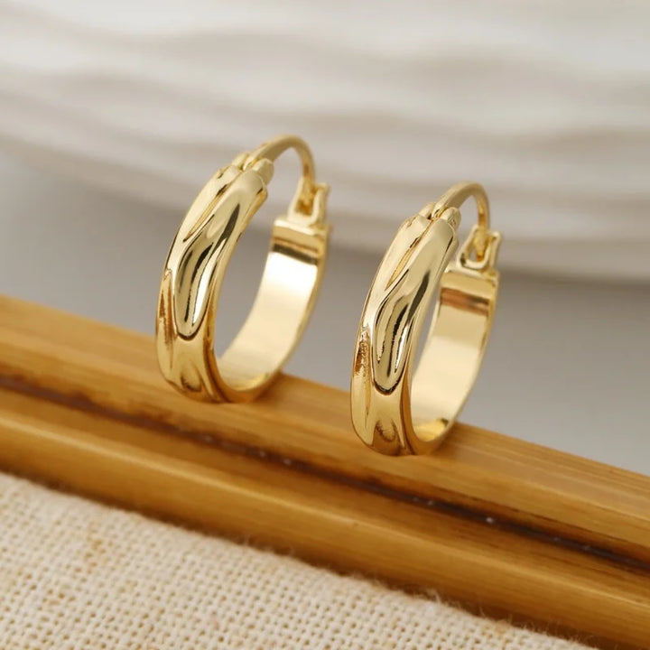 Stainless Steel Gold-Plated Glossy Round Earrings for Women Fashion Simple Waterproof Geometric INS Hoop Earrings Jewelry Gift